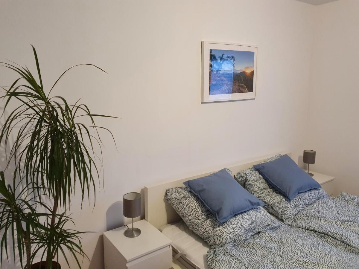 Kleine Suedpfalz Apartament